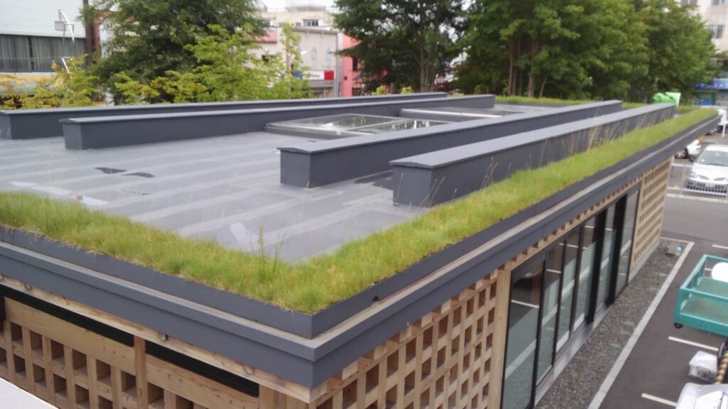 緑化屋根